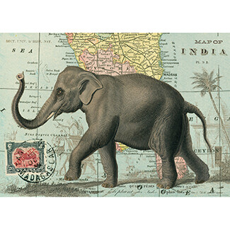 Elephant Poster #309