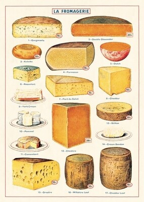 Cheese Poster  - 20” X 28” - #306