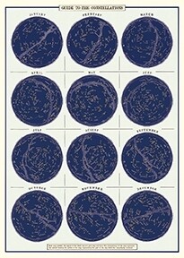 Constellations Circles Chart Poster - 20” X 28” - #218