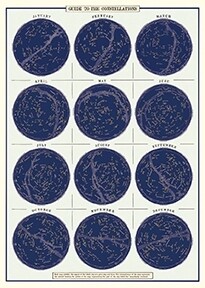 Constellations Circles Chart Poster  - 20” X 28” - #218