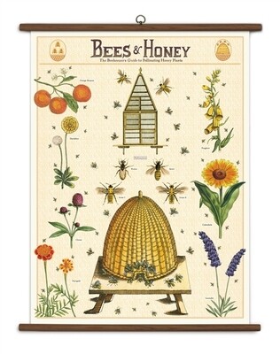 Bees + Honey Large School Chart