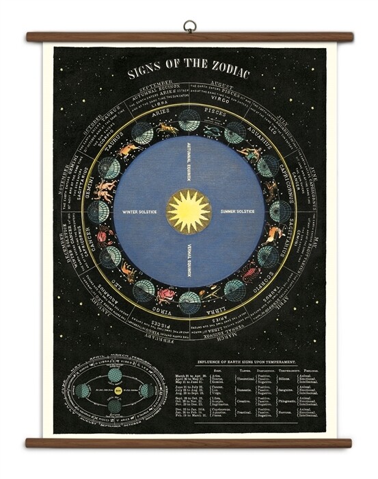 Zodiac Large School Chart