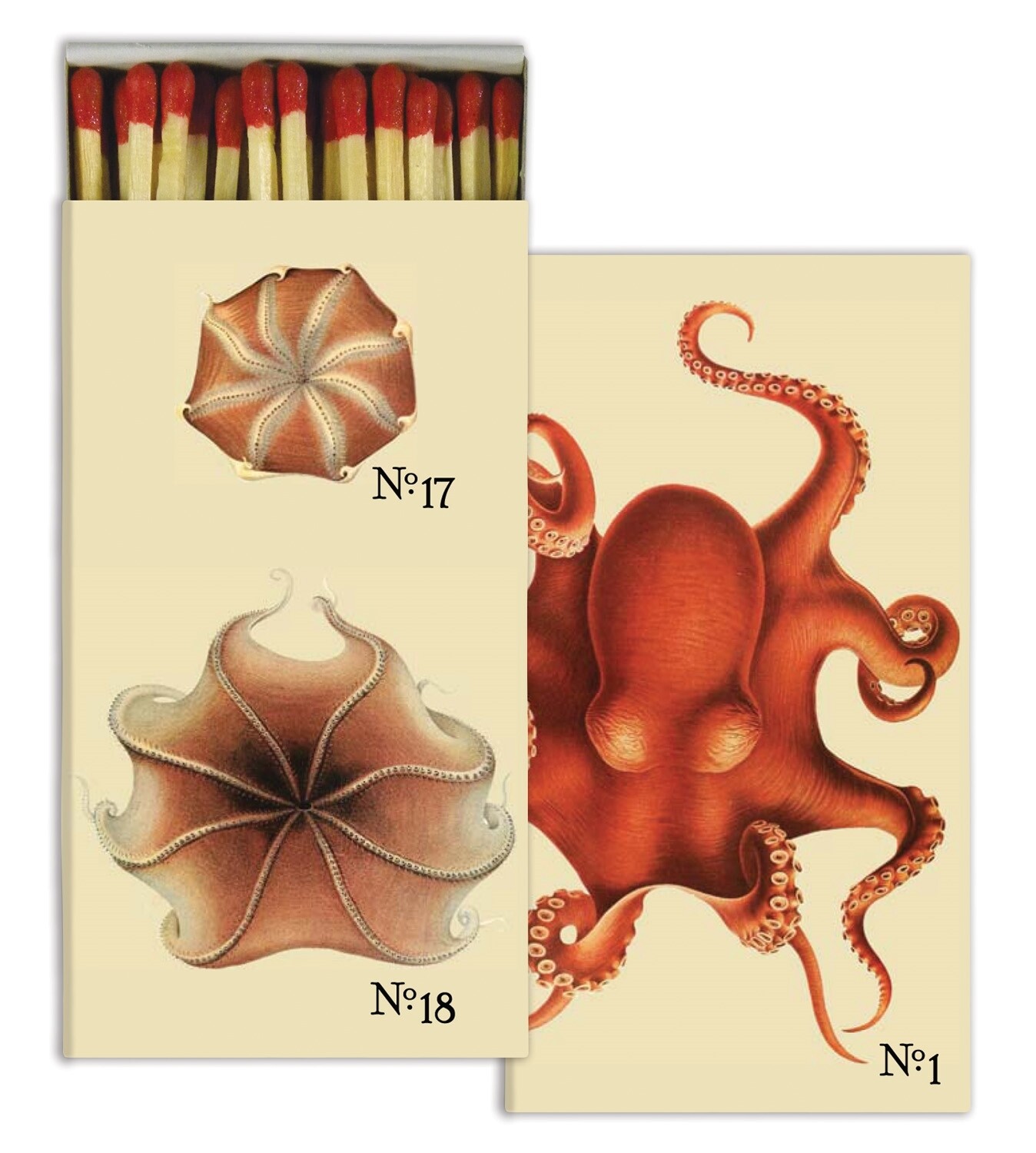 Octopus Matches