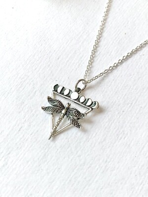 SSN4094 Sterling Silver Dragonfly + Moon Phases Necklace