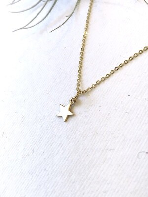 CCN862 Bronze Small Star Necklace