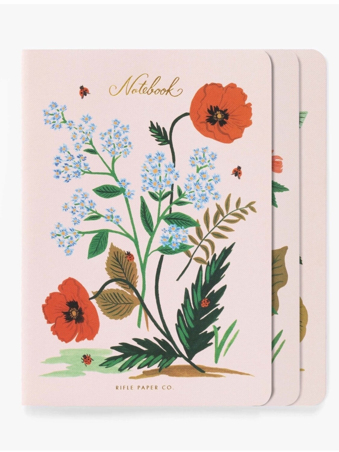 Botanical Notebooks - Set of 3 - Rifle Paper Co. RPC38