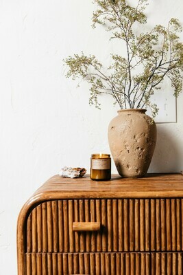 Amber + Moss 7.2 oz Soy Candle - P.F. Candle Co.