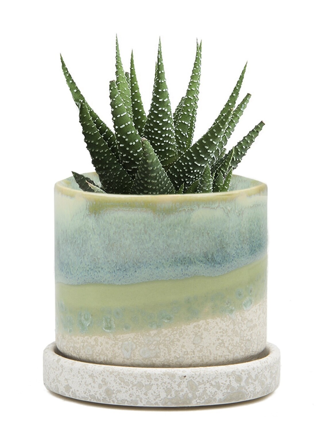 Chive Green Cement Minute Ceramic Pot- MIPSGC