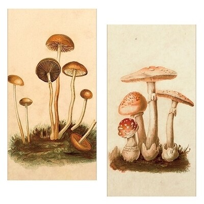 Vintage Mushrooms WB Matches