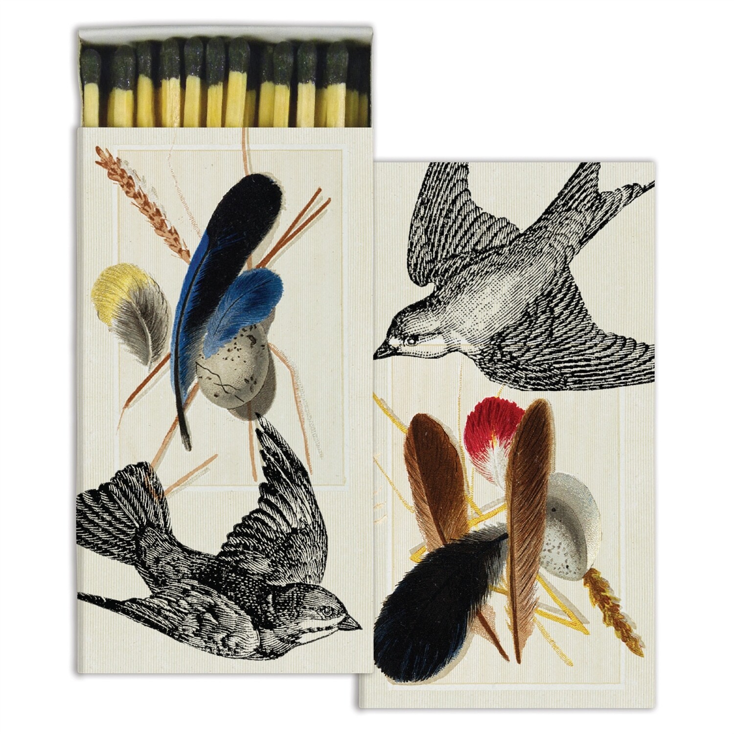 Sparrows &amp; Specimens Matches FINAL SALE