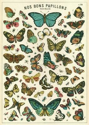 Butterfly Chart Poster  - 20” X 28” - #314