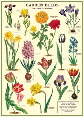 Garden Bulbs Poster  - 20” X 28” - #104
