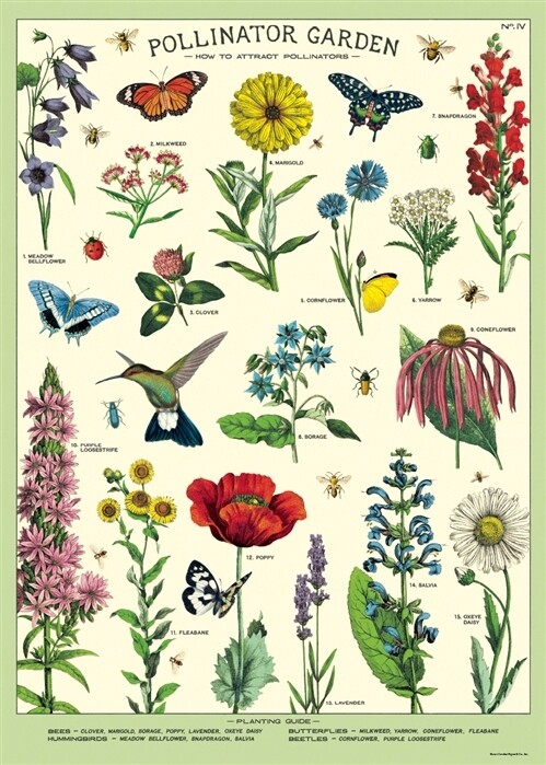Pollinators Poster  - 20” X 28” - #116