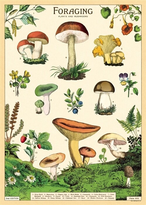 Forage Poster  - 20” X 28” - #305