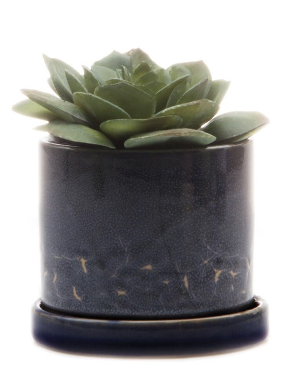 Chive Cosmos Minute 2 Ceramic Pot- MIPSCO