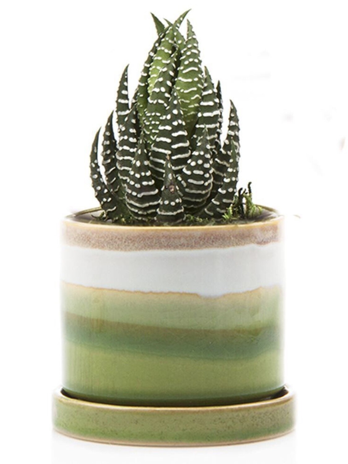 Chive Green Layers Minute Ceramic Pot- MIPSGL