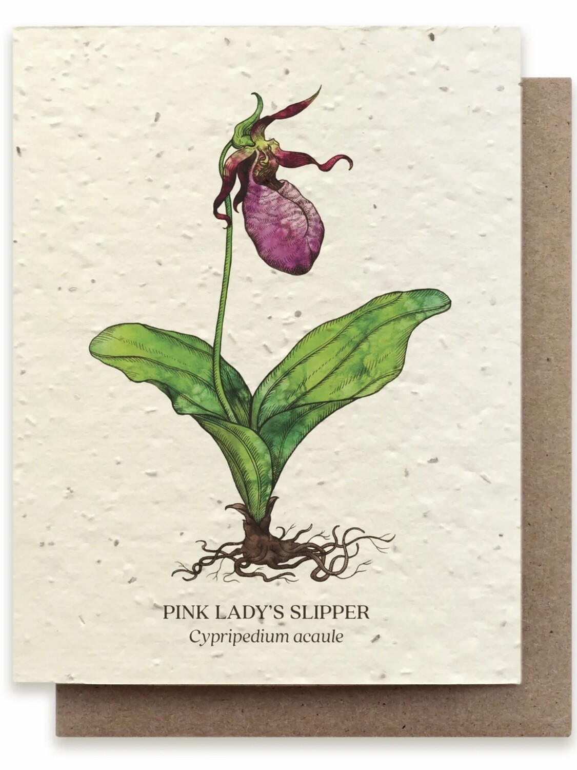 Lady Slipper Botanical Greeting Card - Plantable Wildflower Seed Card - BC106