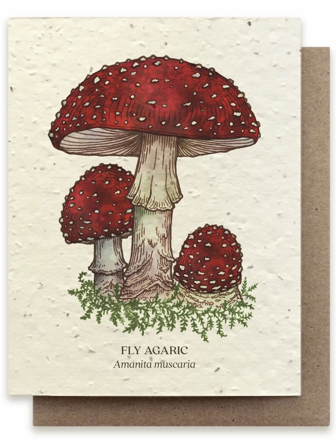 Fly Agaric Mushroom Greeting Card - Plantable Wildflower Seed Card - BC103