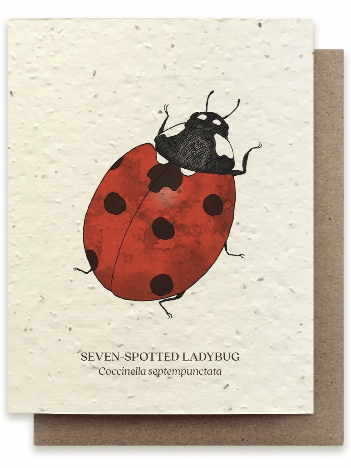 Ladybug Greeting Card - Plantable Wildflower Seed Card - BC113