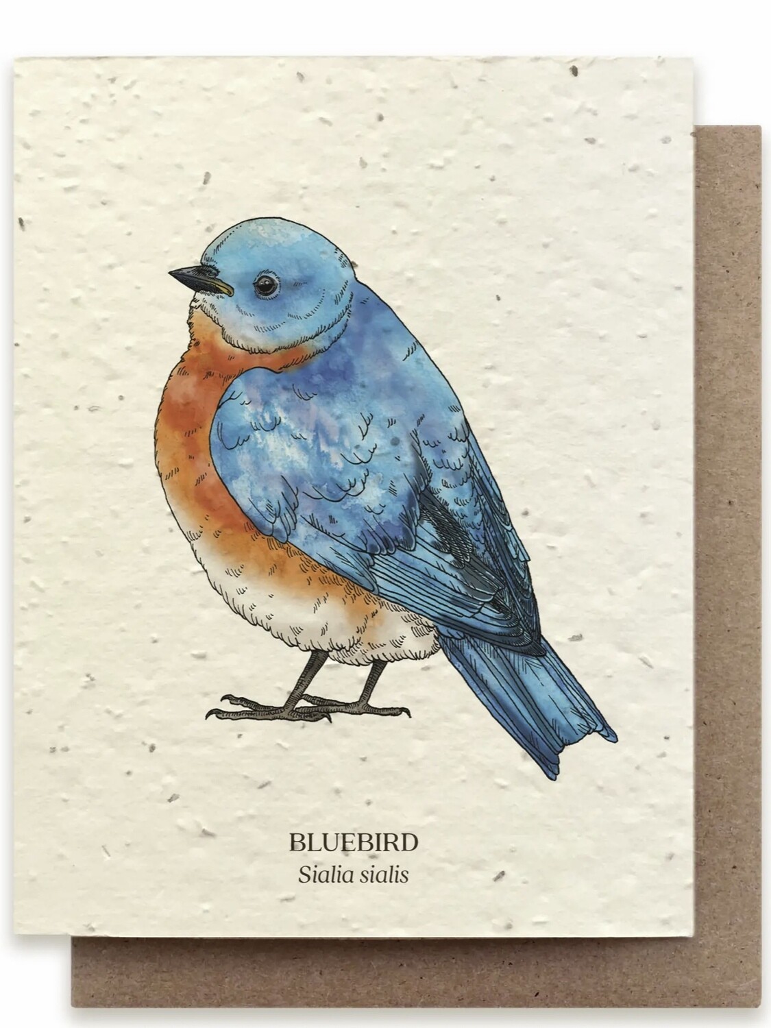 Bluebird Greeting Card - Plantable Wildflower Seed Card - BC114