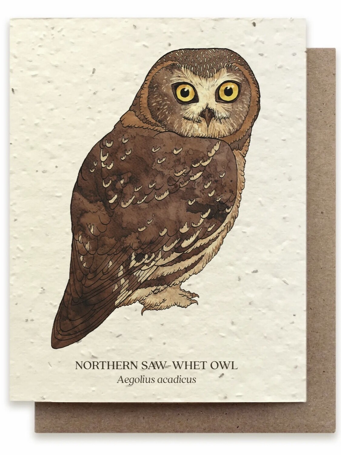 Owl Greeting Card - Plantable Wildflower Seed Card - BC118