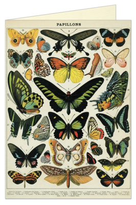Vintage Butterflies Greeting Card - CV3