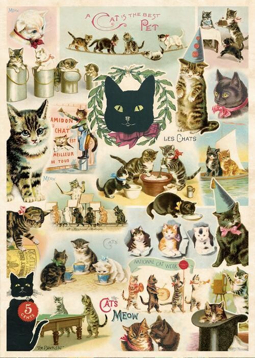 Cat Collage Poster  - 20” X 28” - #323
