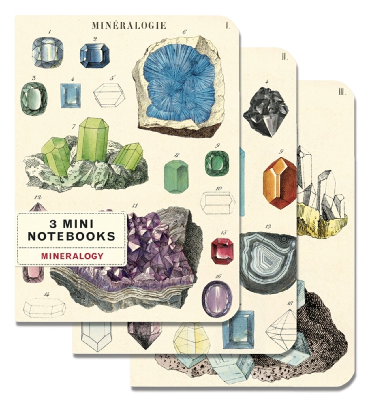 Set of 3 Mini Mineralogy Notebooks - CNB-MIN