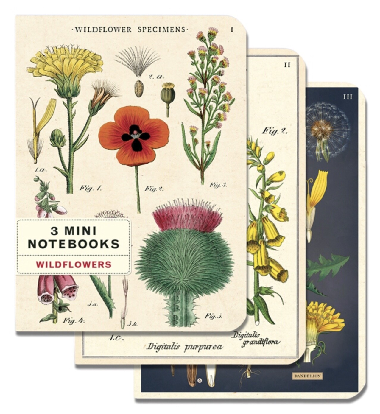Set of 3 Mini Wildflower Notebooks - CNB-WIL