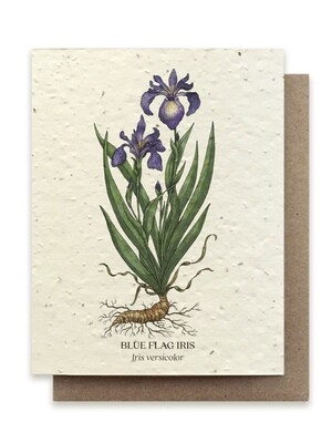 Blue Flag Iris - Plantable Wildflower Seed Greeting Card - BC125