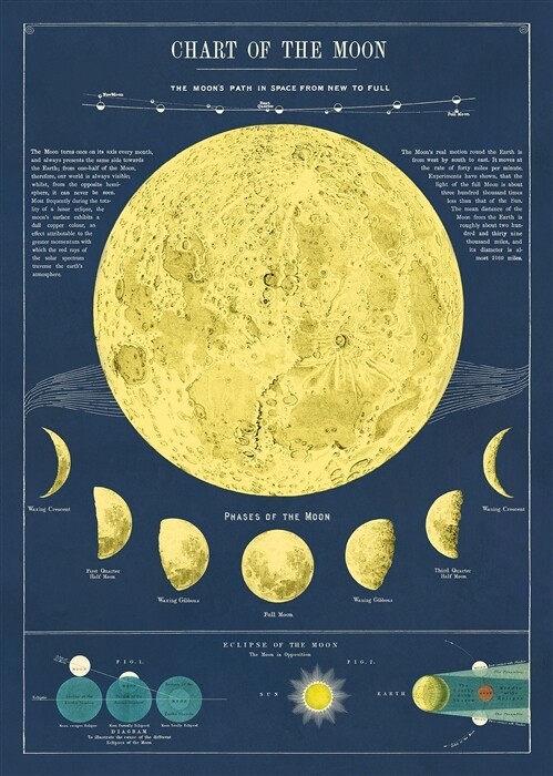 Moon Chart Poster #200