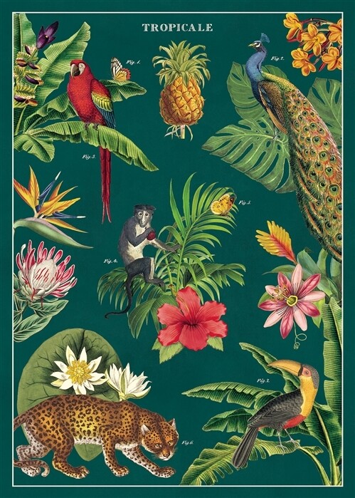 Tropicale Poster  - 20” X 28” - #220