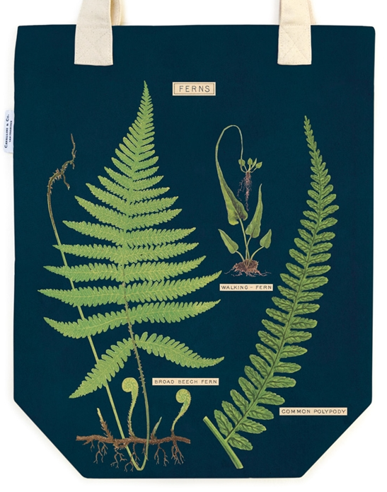 Ferns Tote Bag