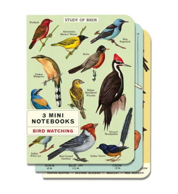 Set of 3 Mini Bird Watching Notebooks - CNB-BIR