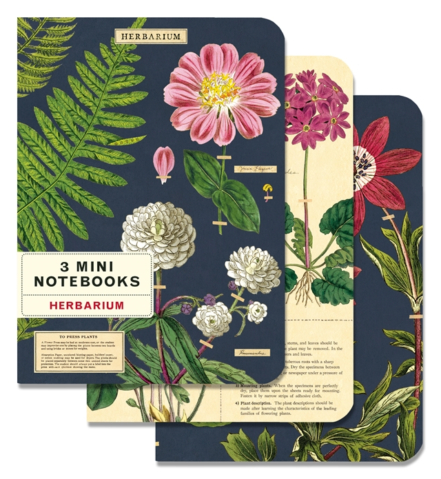 Set of 3 Mini Herbarium Notebooks - CNB-HER