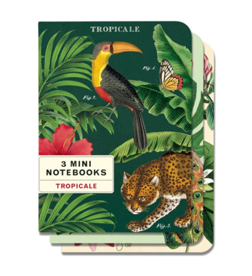 Set of 3 Mini Tropicale Notebooks - CNB-TROP