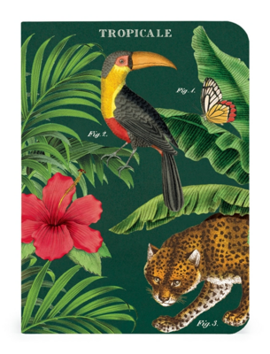 Set of 3 Mini Tropicale Notebooks - CNB-TROP