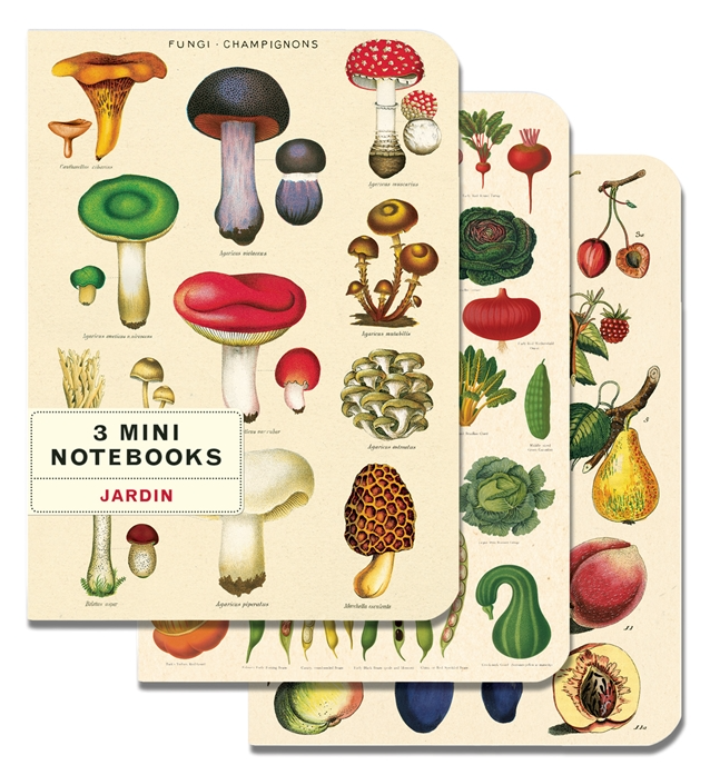 Set of 3 Mini Le Jardin Notebooks - CNB-JAR