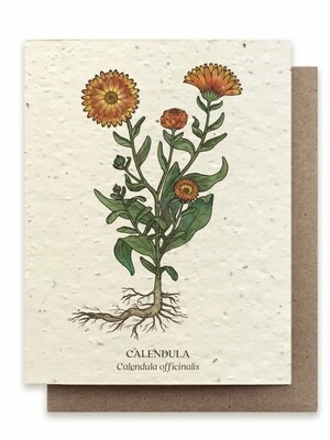 Calendula Greeting Card - Plantable Wildflower Seed Card - BC127