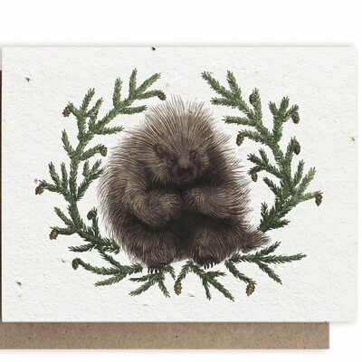Porcupine Greeting Card - Plantable Herbal Seed Card - BC128