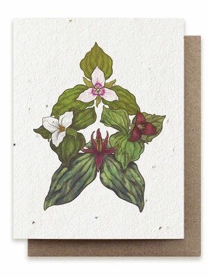 Trillium Greeting Card - Plantable Herbal Seed Card - BC126