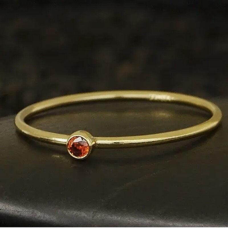 January Gold Filled Birthstone Ring - NR201 