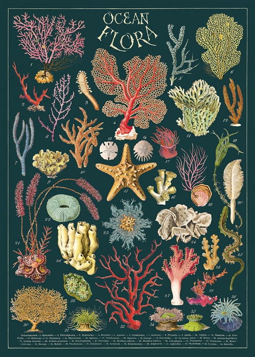 Ocean Flora Poster  - 20” X 28” - #315