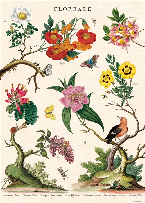 Floreale Poster  - 20” X 28” - #125