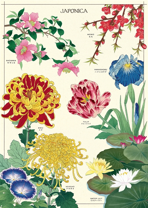 Japonica Floral Poster  - 20” X 28” - #121
