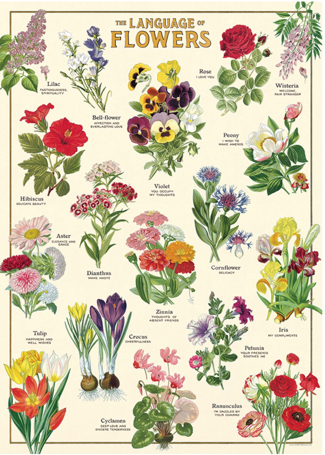 Language of Flowers Poster  - 20” X 28” - #118
