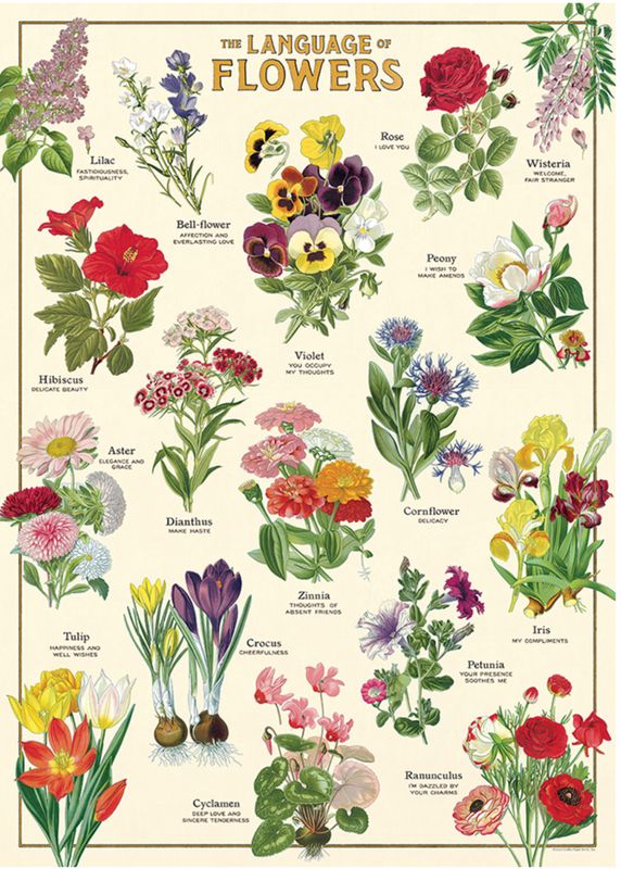 Language of Flowers Poster  - 20” X 28” - #118