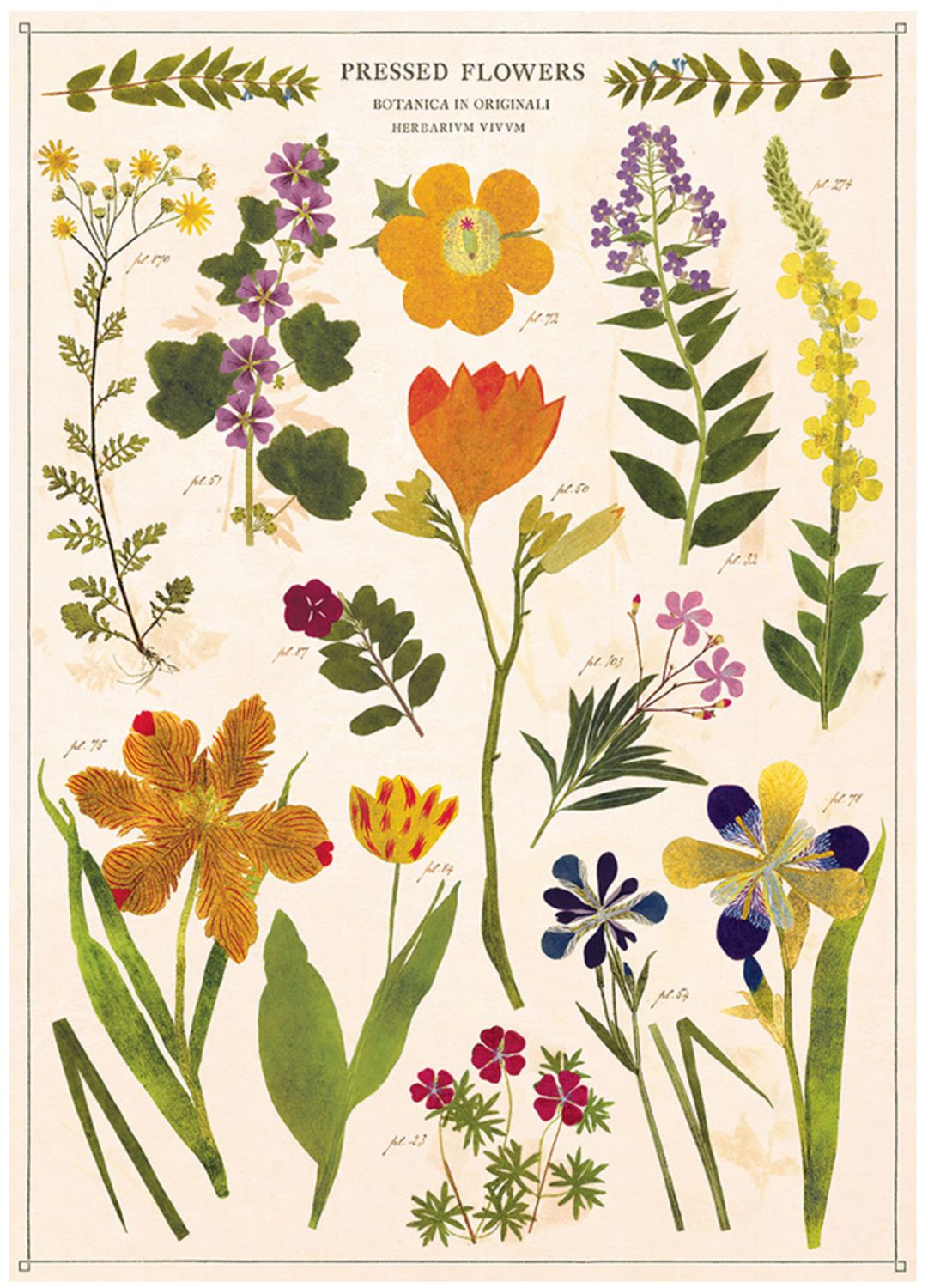 Pressed Flowers Poster  - 20” X 28” - #123