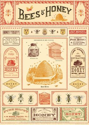 Bees + Honey Poster  - 20” X 28” - #302