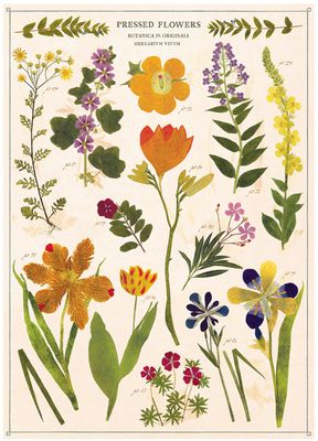 Pressed Flowers Poster  - 20” X 28” - #123